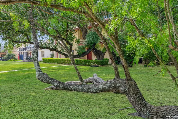 a view of a park with large trees
