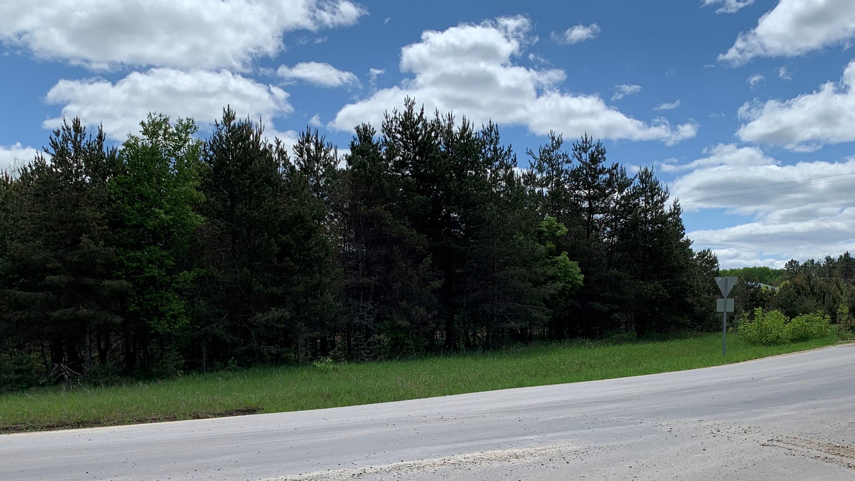 20 East Rd Manton Mi 49633 Road Fife Lake, MI 49633 - Photo 3 of 8 Gallery Image 3