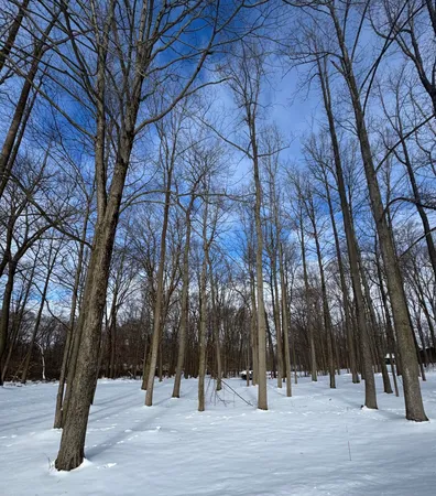 $59,000 | V/l Timberlane Drive, Jones, MI 49061