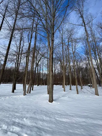 $59,000 | V/l Timberlane Drive, Jones, MI 49061