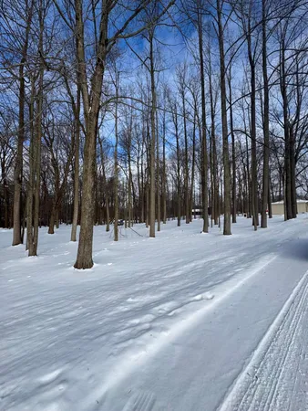 $59,000 | V/l Timberlane Drive, Jones, MI 49061