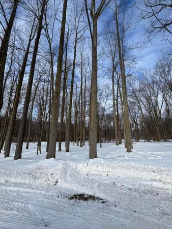$59,000 | V/l Timberlane Drive, Jones, MI 49061