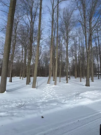 $59,000 | V/l Timberlane Drive, Jones, MI 49061