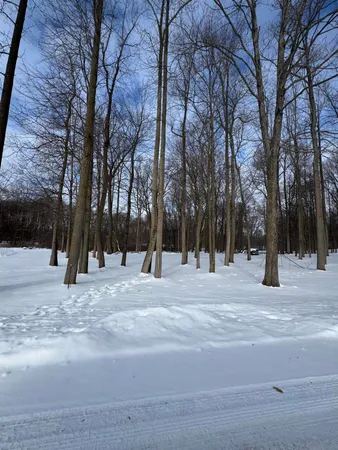 $59,000 | V/l Timberlane Drive, Jones, MI 49061