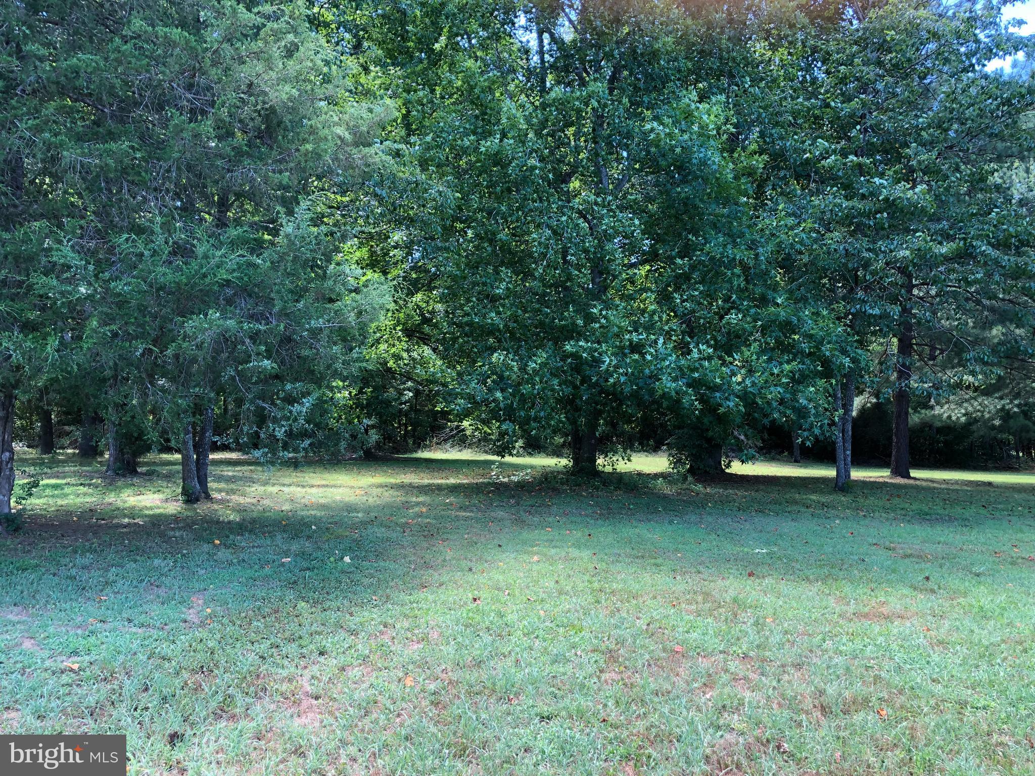 Old Pitts (35e) Road Ruther Glen, VA 22546 - Photo 3 of 4 Gallery Image 3