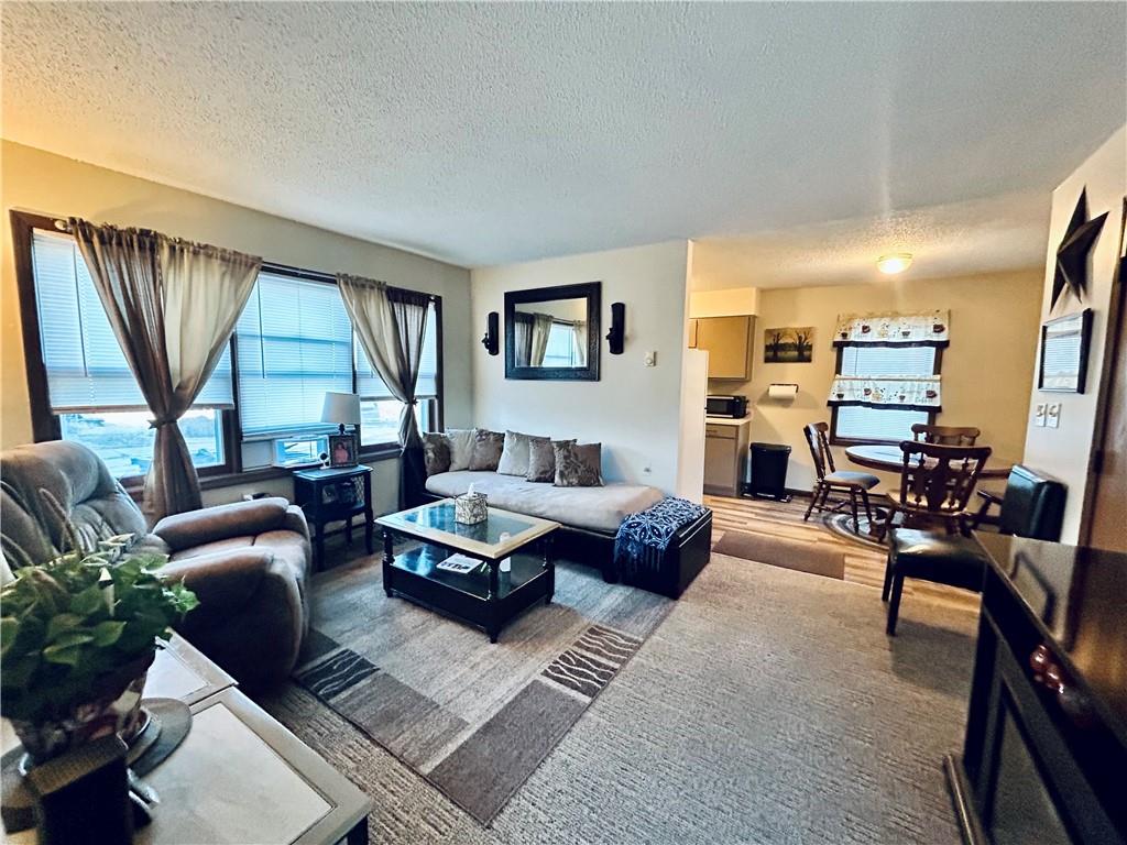 207 South Main Street Louisiana, MO 63353 - Photo 5 of 25