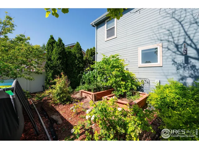 a view of a backyard with plants