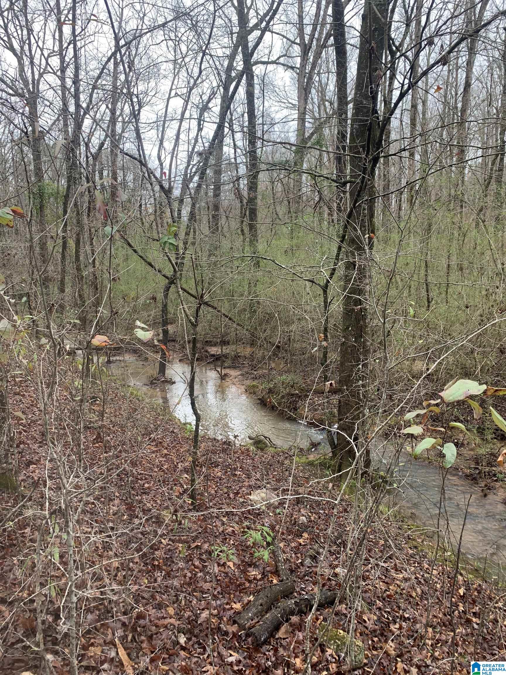 Shady Glen Road, Unit 50 91 Anniston, AL 36201 - Photo 8 of 15