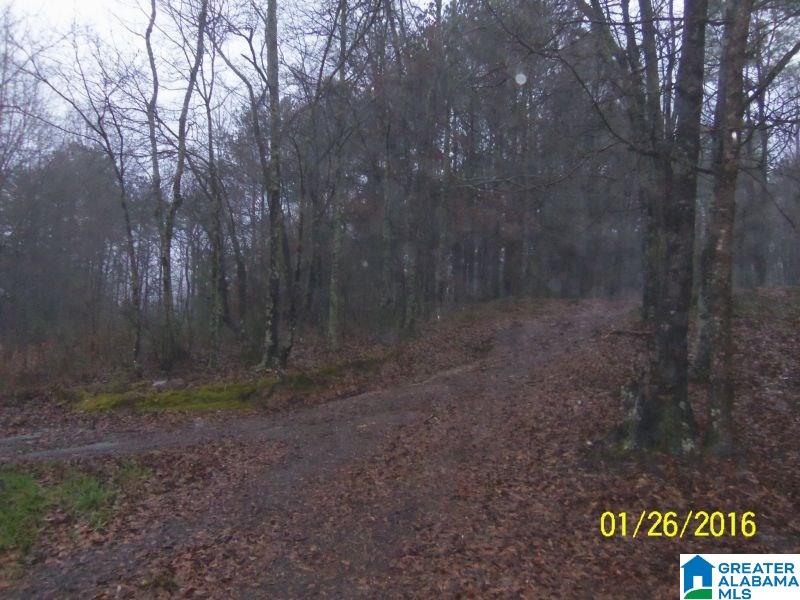 595 Bramlett Road Piedmont, AL 36272 - Photo 9 of 12