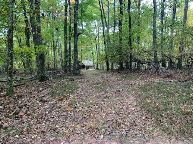 1448 Sounding Knob Road Monterey, VA 24465 - Photo 6 of 8 Gallery Image 6