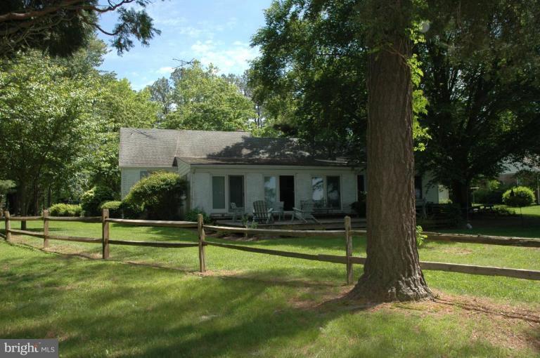 Back yard with wonderful shade trees