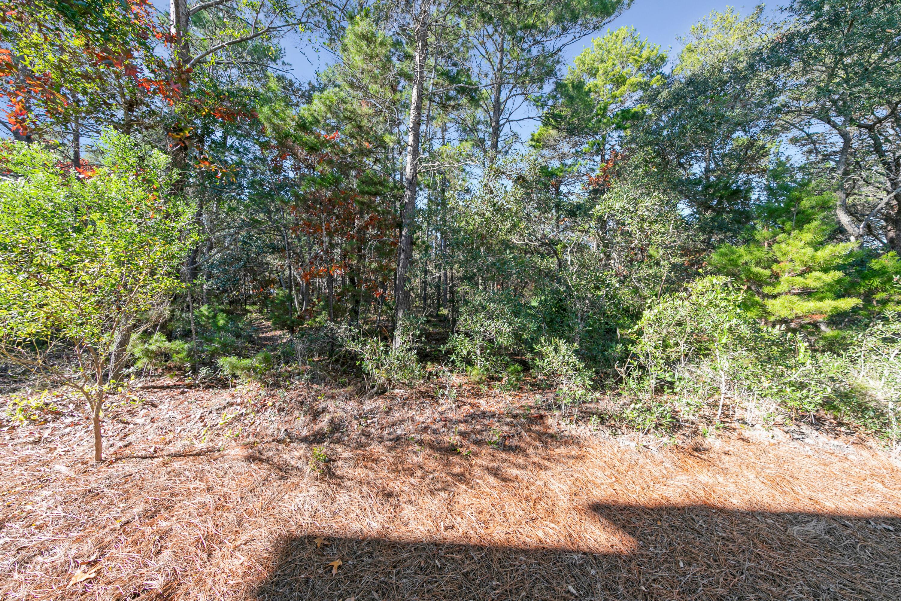 209 Milestone Dr Inlet Beach, Unit B Inlet Beach, FL 32461 - Photo 28 of 39 a view of a yard with plants and tree
