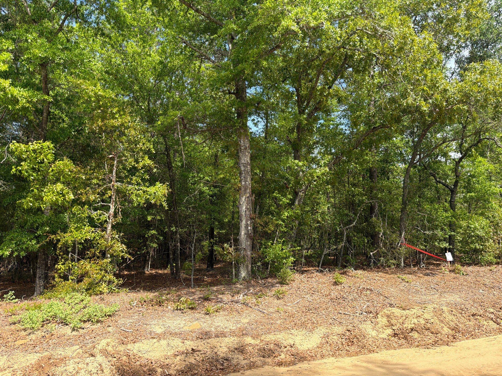 1 Rogers Cemetery Road, Unit RRF 1 Salley, SC 29137 - Photo 2 of 40