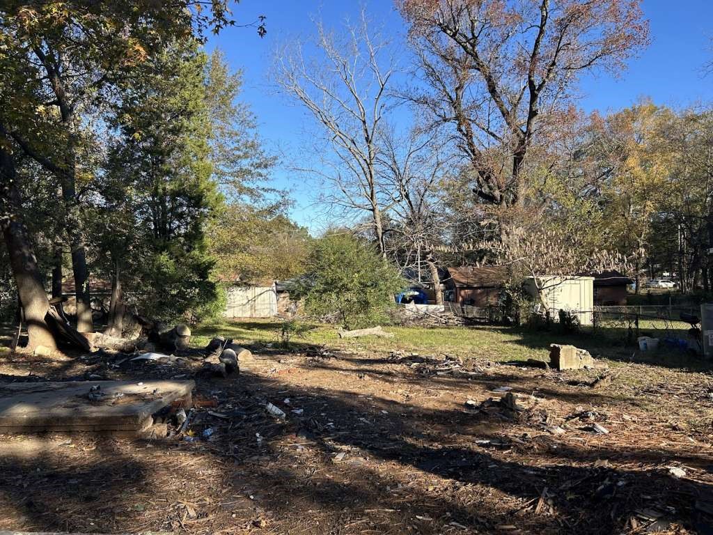 a view of a yard with a large tree