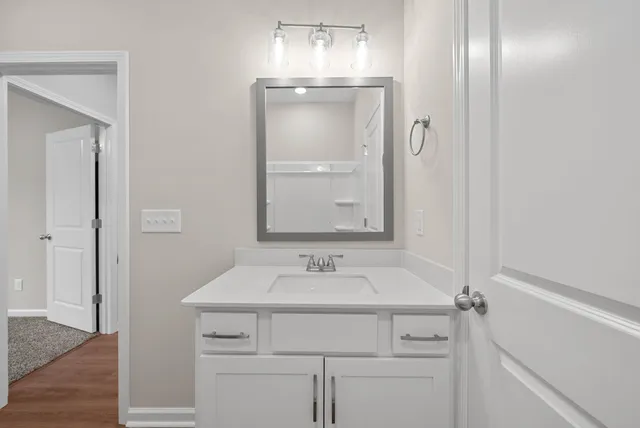 a bathroom with a sink and a mirror