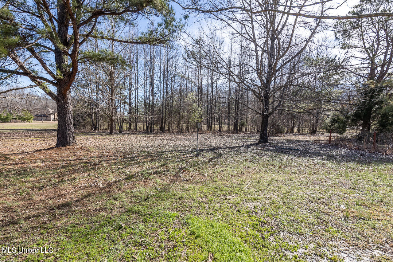 Steven Henry Road Hernando, MS 38632 - Photo 1 of 1 Land