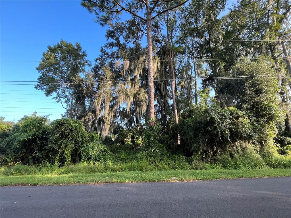 262 Toms Road DeBary, FL 32713 - Photo 5 of 8