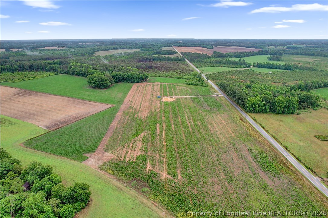 Lot 4 Buie Philadelphus Road Red Springs, NC 28377 - Photo 7 of 11
