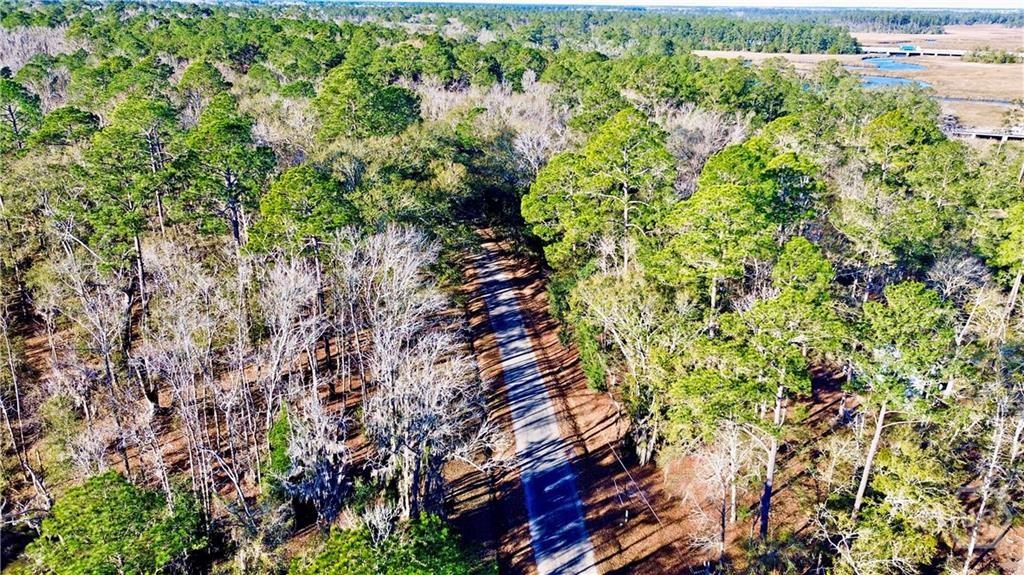 Tract4 South Newport Road Northeast Townsend, GA 31331 - Photo 10 of 14