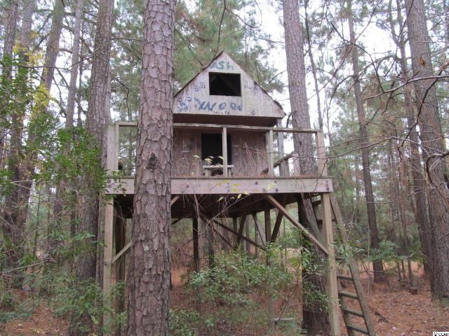 1966 Dirty Branch Road Conway, SC 29527 - Photo 14 of 14 Gallery Image 14