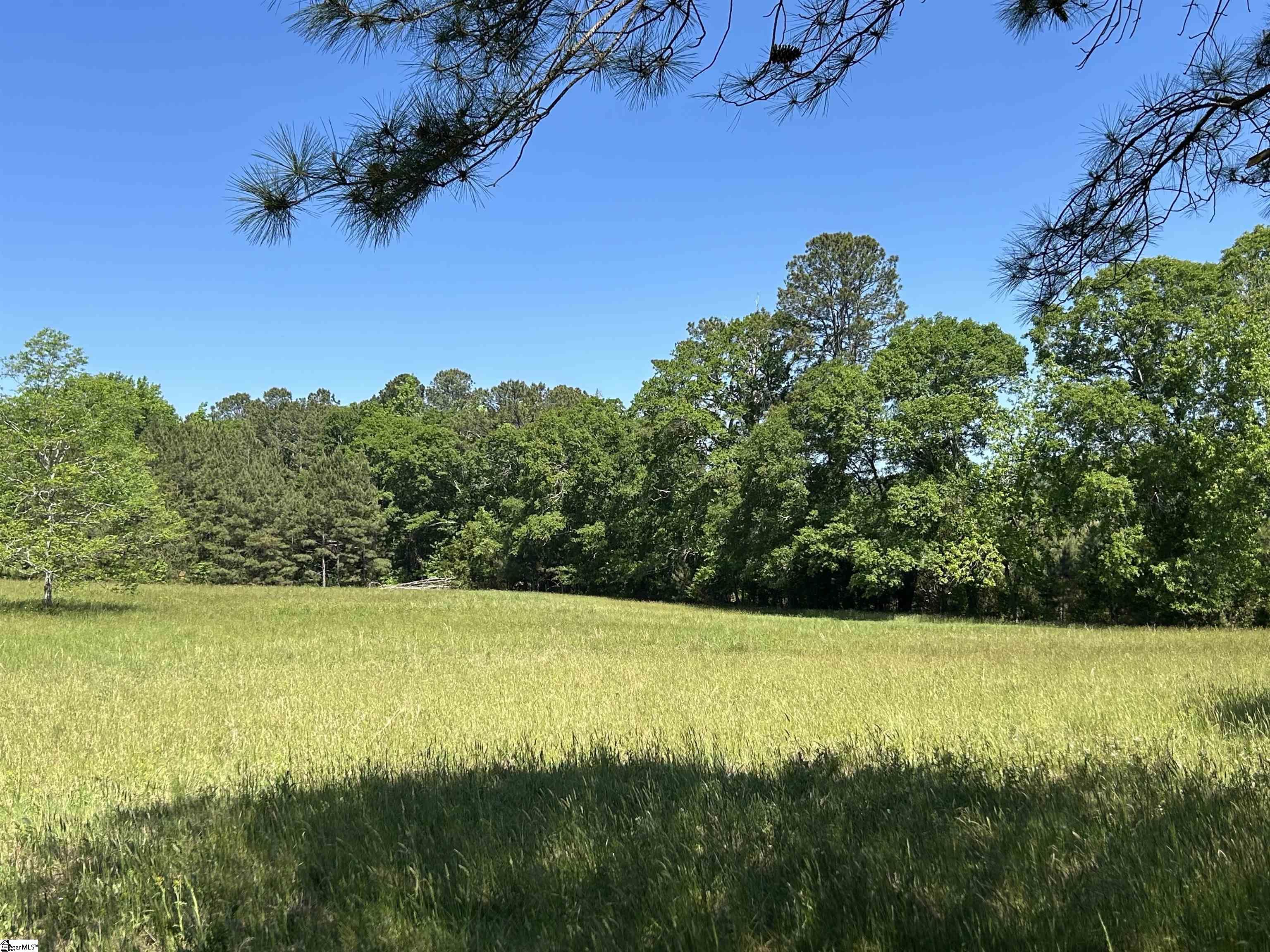 0 Mt Bethel Garmany Road Newberry, SC 29108 - Photo 1 of 5
