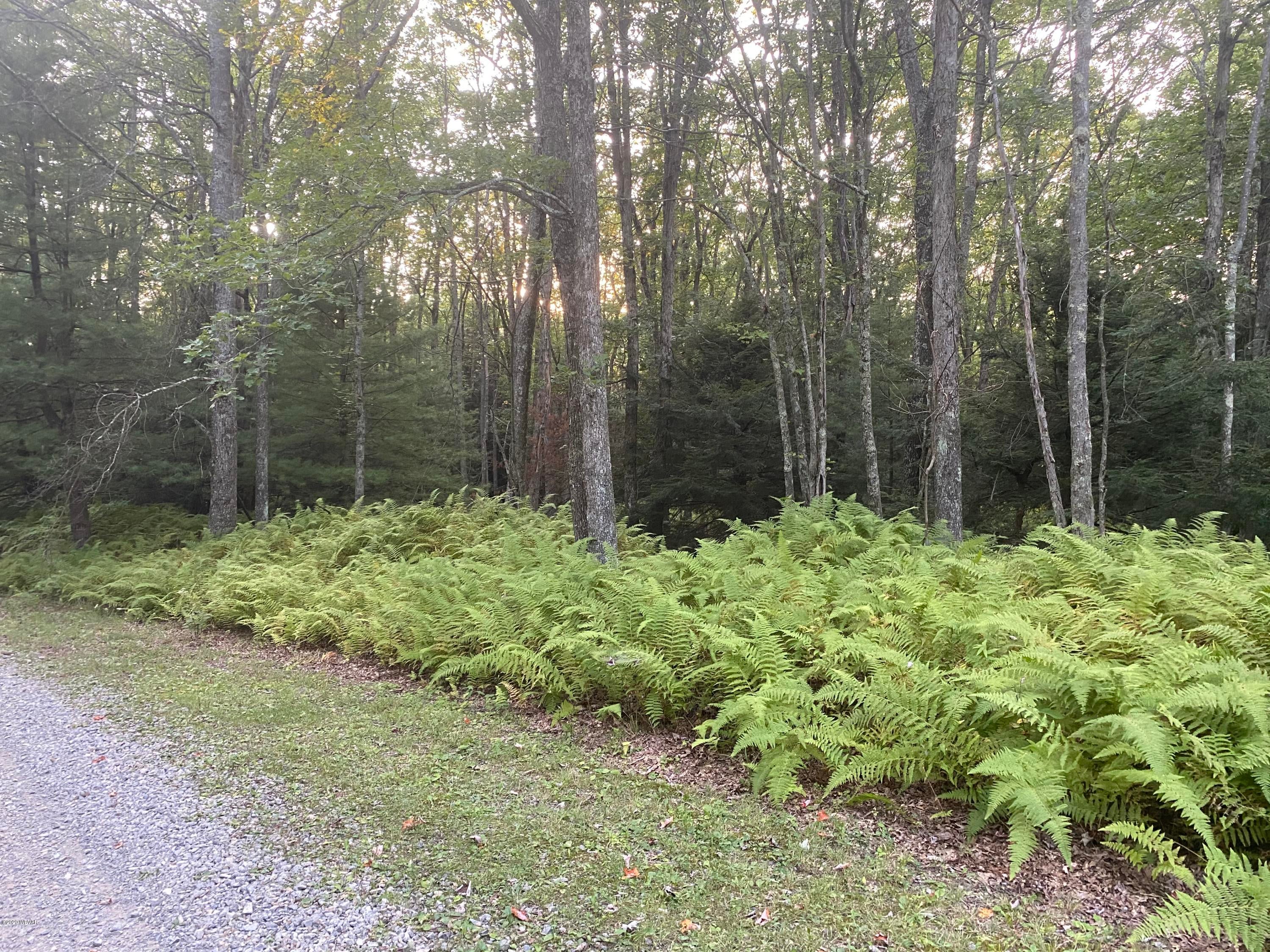 Cub Road Williamsport, PA 17701 - Photo 6 of 7 Gallery Image 6