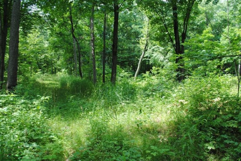 1885 Bender Road Middleville, MI 49333 - Photo 1 of 3 Primary Photo