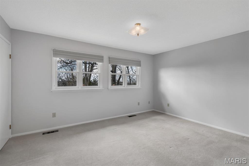 8050 Local Hillsboro Road Cedar Hill, MO 63016 - Photo 19 of 39