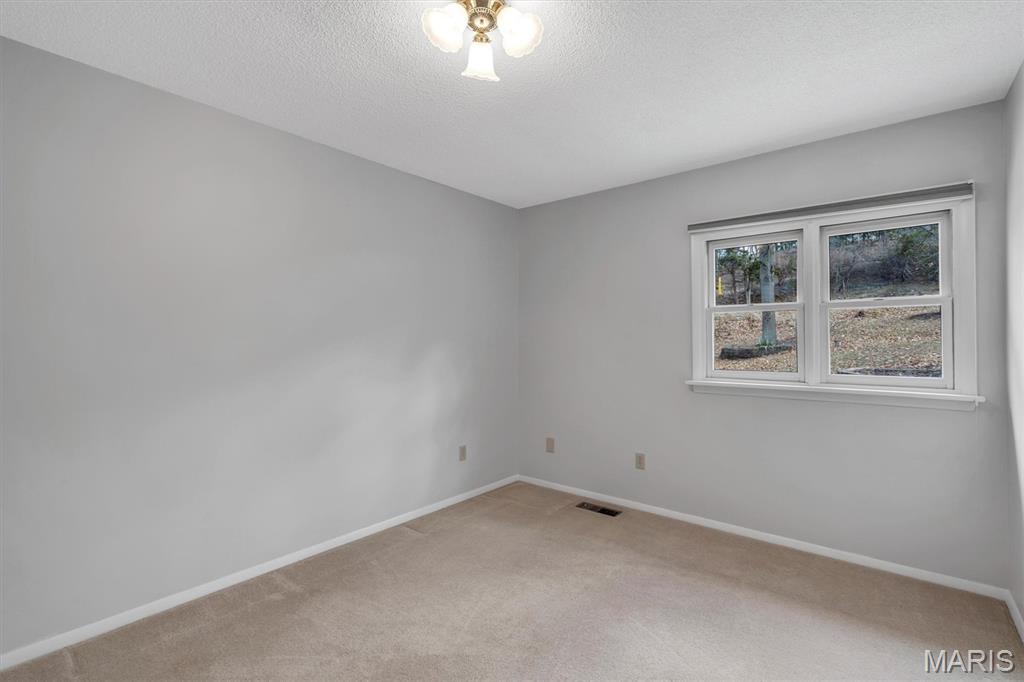 8050 Local Hillsboro Road Cedar Hill, MO 63016 - Photo 21 of 39