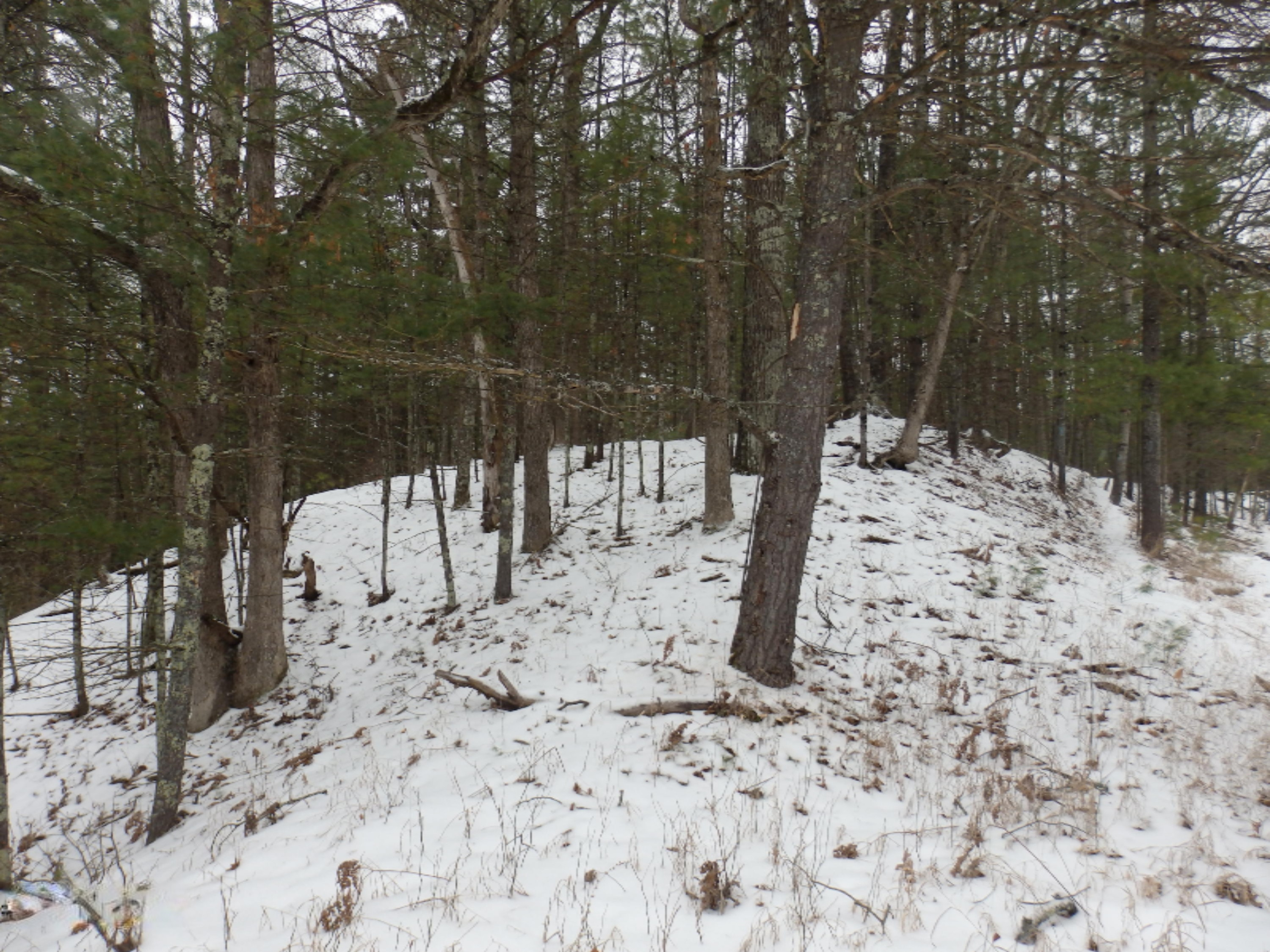 North Huff Parcel B Road Wellston, MI 49689 - Photo 11 of 24 P1242802