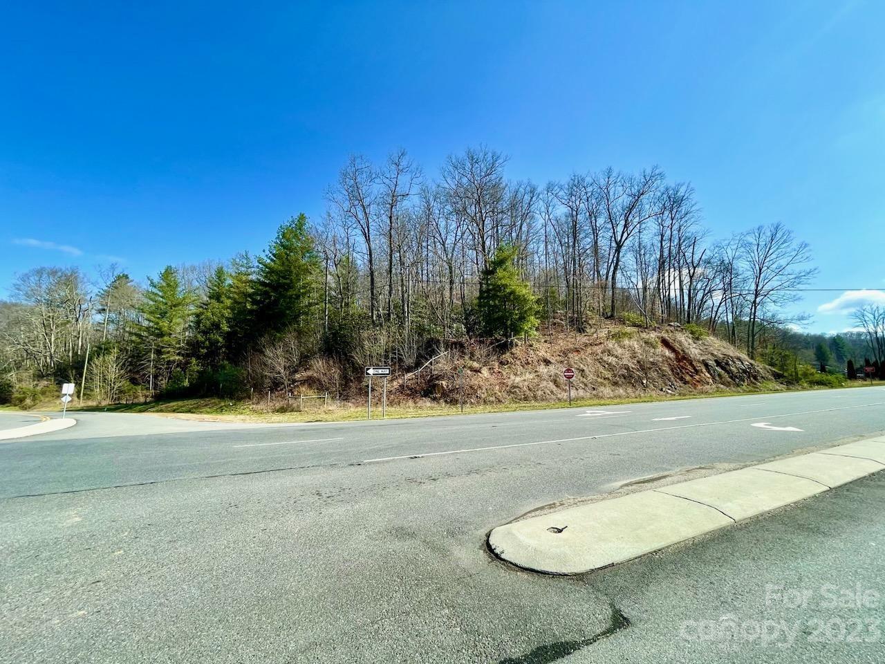 5.11-acres Penland Road Spruce Pine, NC 28777 - Photo 1 of 19 a view of a backyard of a house