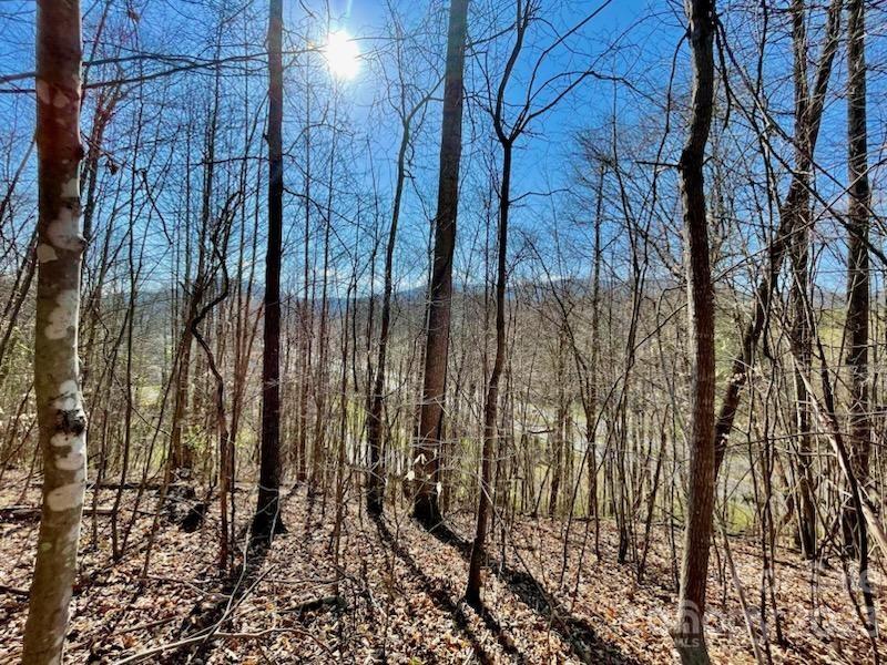 5.11-acres Penland Road Spruce Pine, NC 28777 - Photo 11 of 19 a view of a forest