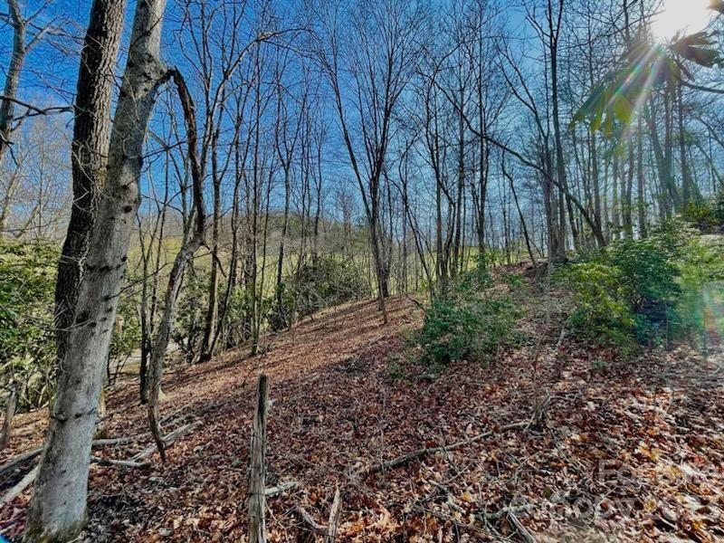5.11-acres Penland Road Spruce Pine, NC 28777 - Photo 14 of 19 a view of a backyard