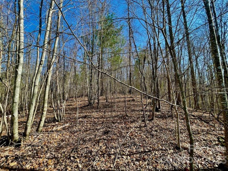 5.11-acres Penland Road Spruce Pine, NC 28777 - Photo 18 of 19 a view of a yard with plants and trees