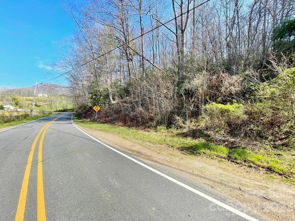5.11-acres Penland Road Spruce Pine, NC 28777 - Photo 6 of 19 a view of a garden with a yard