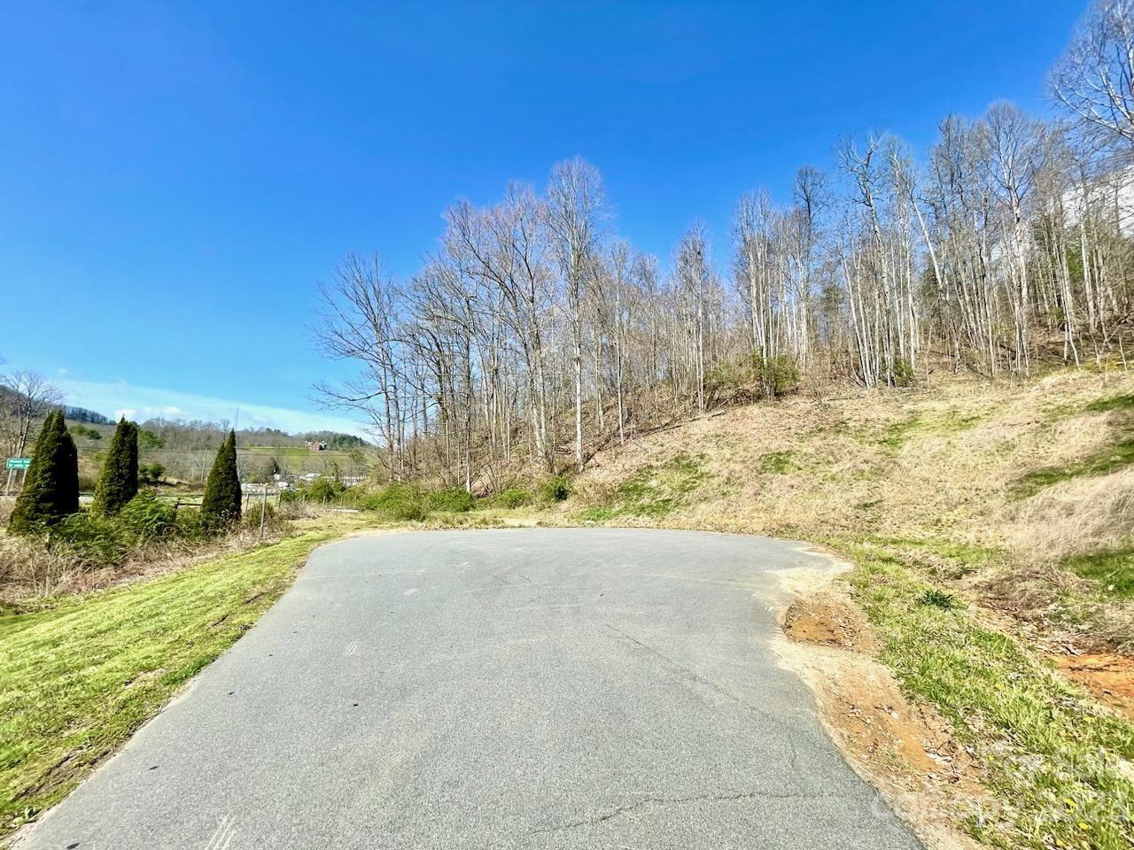 5.11-acres Penland Road Spruce Pine, NC 28777 - Photo 8 of 19 a view of a yard with trees outside of the house