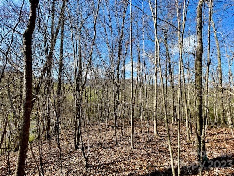 5.11-acres Penland Road Spruce Pine, NC 28777 - Photo 10 of 19 a view of a yard