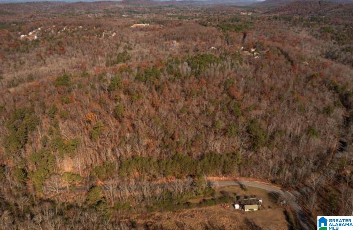 7180 Faucett Cut-Off Road, Unit 7180 Pinson, AL 35126 - Photo 4 of 8