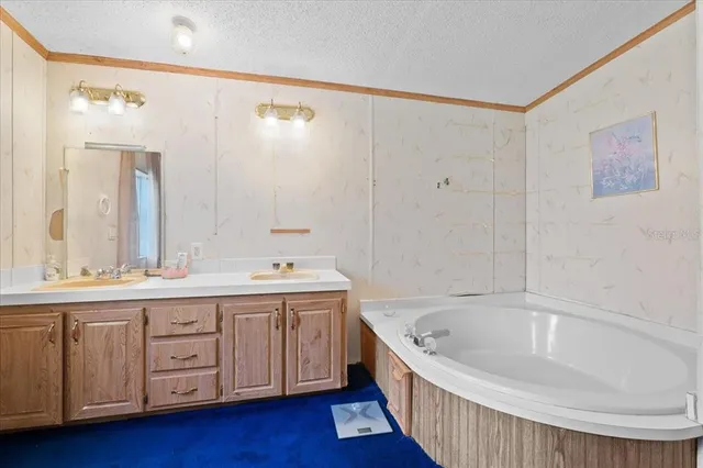 a bathroom with a tub a sink and a large mirror