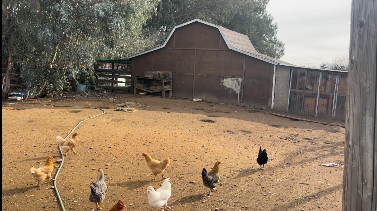 24774 Dale Road Corning, CA 96021 - Photo 11 of 45