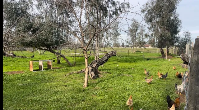 $429,000 | 24774 Dale Road, Corning, CA 96021