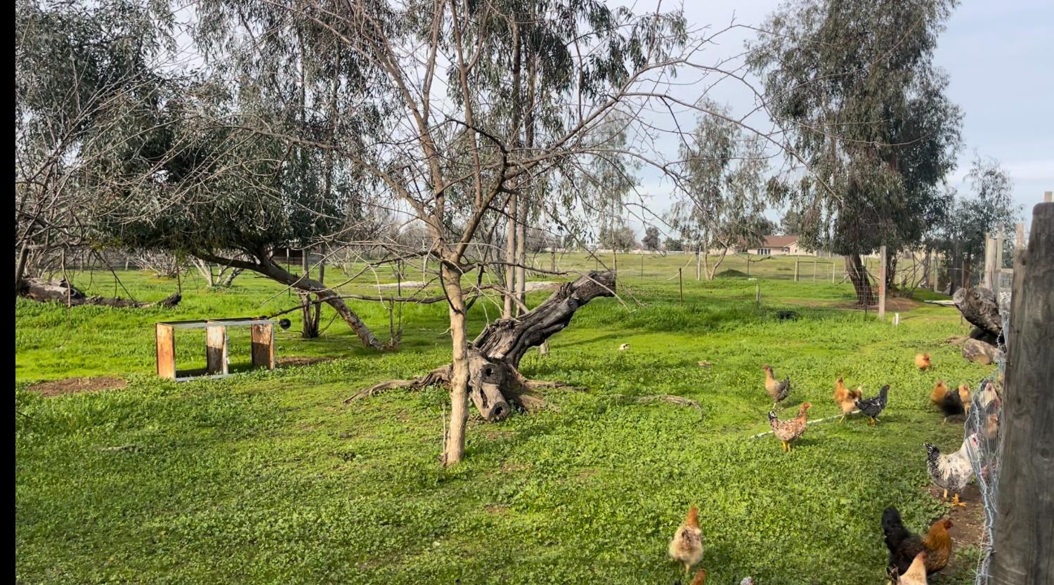 24774 Dale Road Corning, CA 96021 - Photo 12 of 45