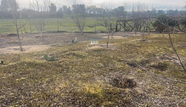 $429,000 | 24774 Dale Road, Corning, CA 96021