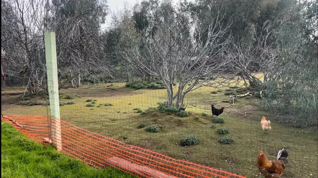 $429,000 | 24774 Dale Road, Corning, CA 96021