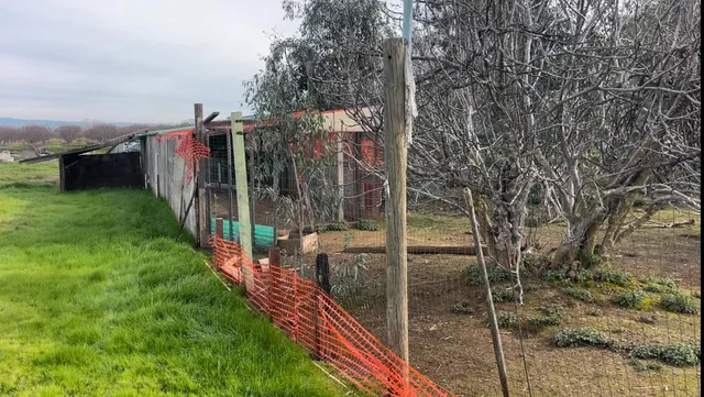 $429,000 | 24774 Dale Road, Corning, CA 96021