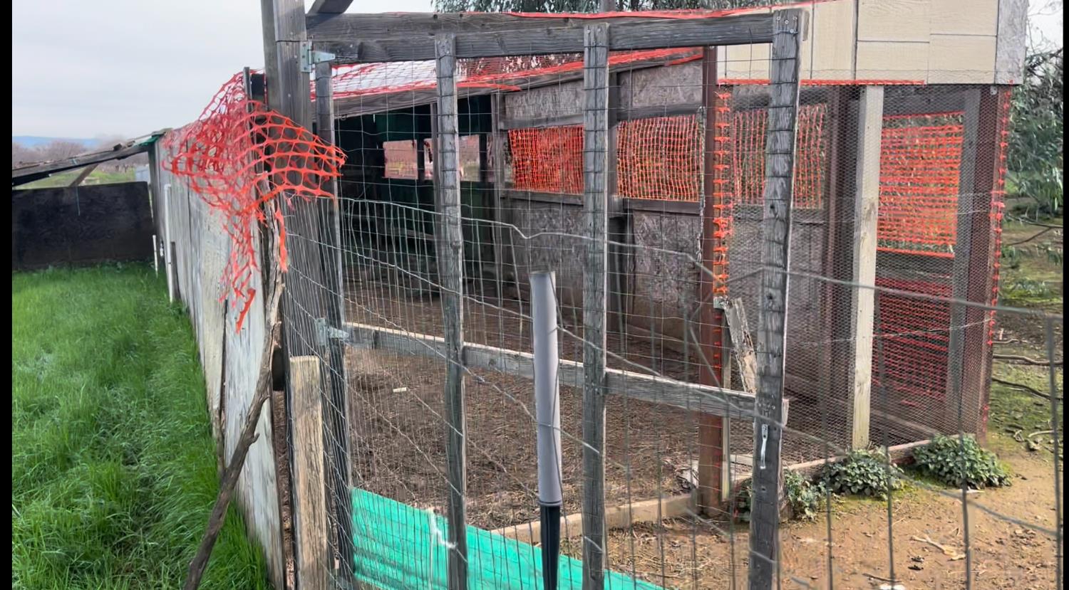 24774 Dale Road Corning, CA 96021 - Photo 8 of 45