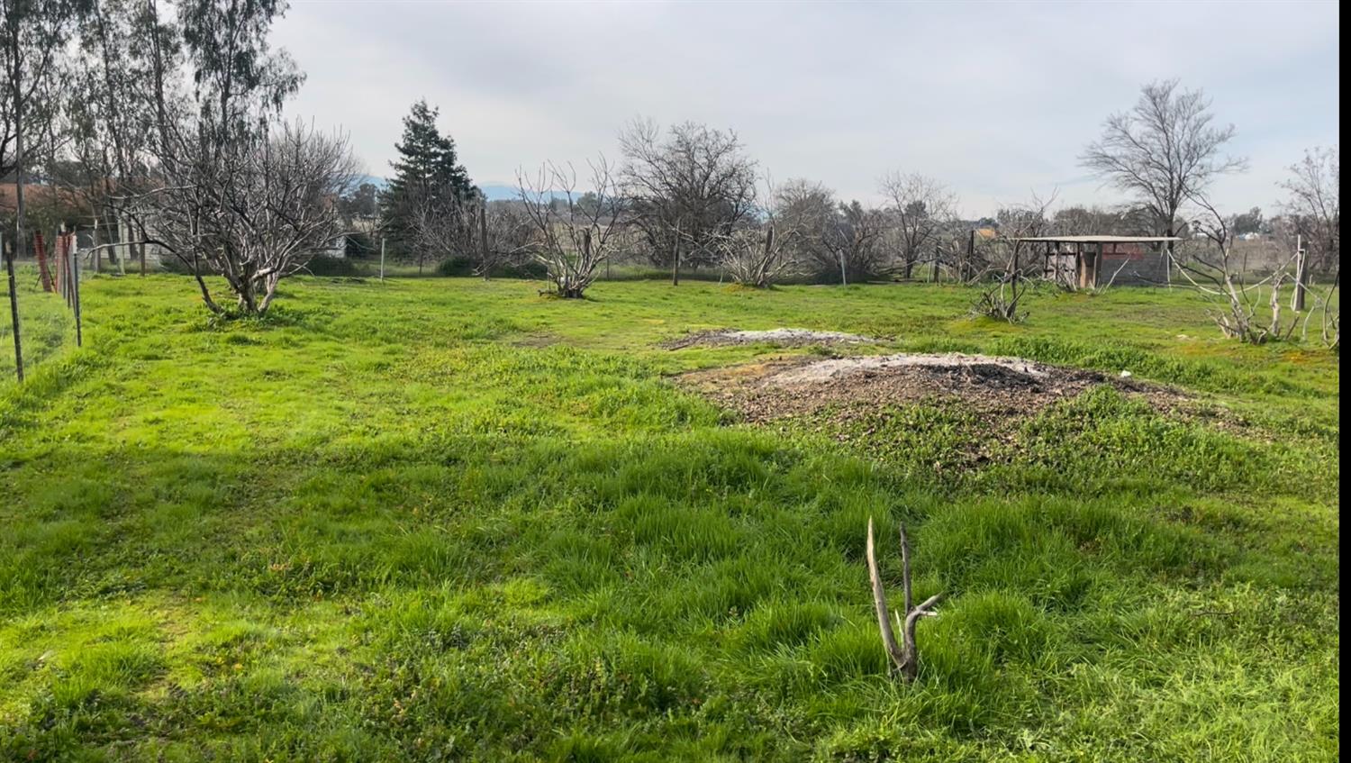 24774 Dale Road Corning, CA 96021 - Photo 10 of 45