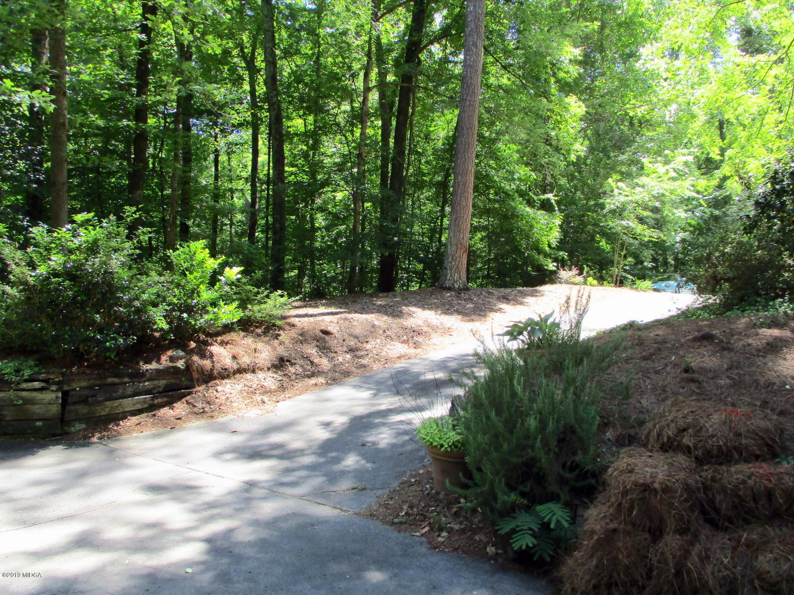 1884 Long Ridge Place Macon, GA 31211 - Photo 28 of 32 a view of a yard with plants and trees