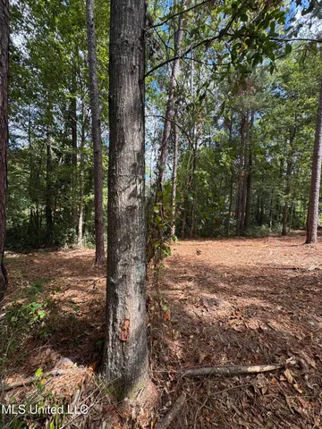 $74,500 | Baracuda Drive, Hattiesburg, MS 39402