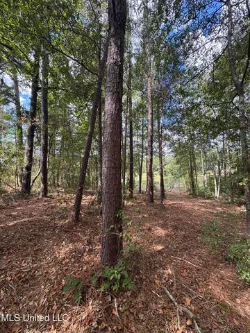 $74,500 | Baracuda Drive, Hattiesburg, MS 39402